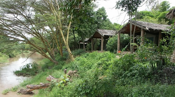 Fig Tree Camp Tents